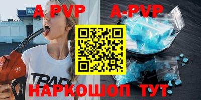 ешки Кингисепп