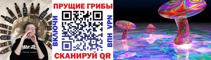 Галлюциногенные грибы прущие грибы  Ярославль 