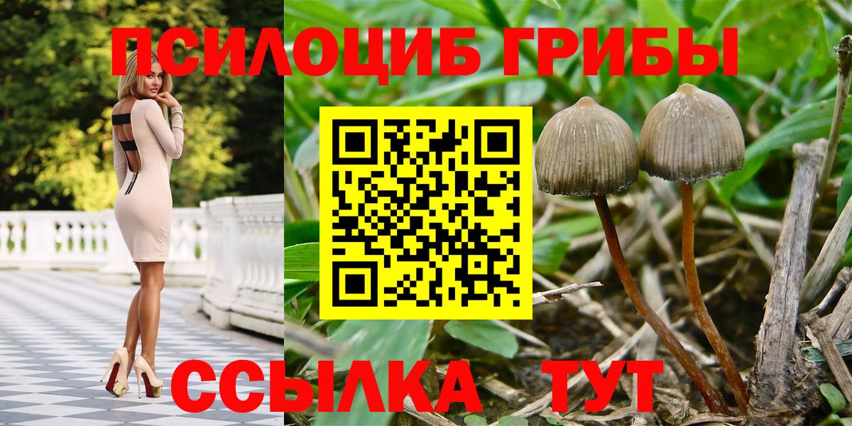 Псилоцибиновые грибы мухоморы  Вход с VPN  купить наркотик  Ярославль 