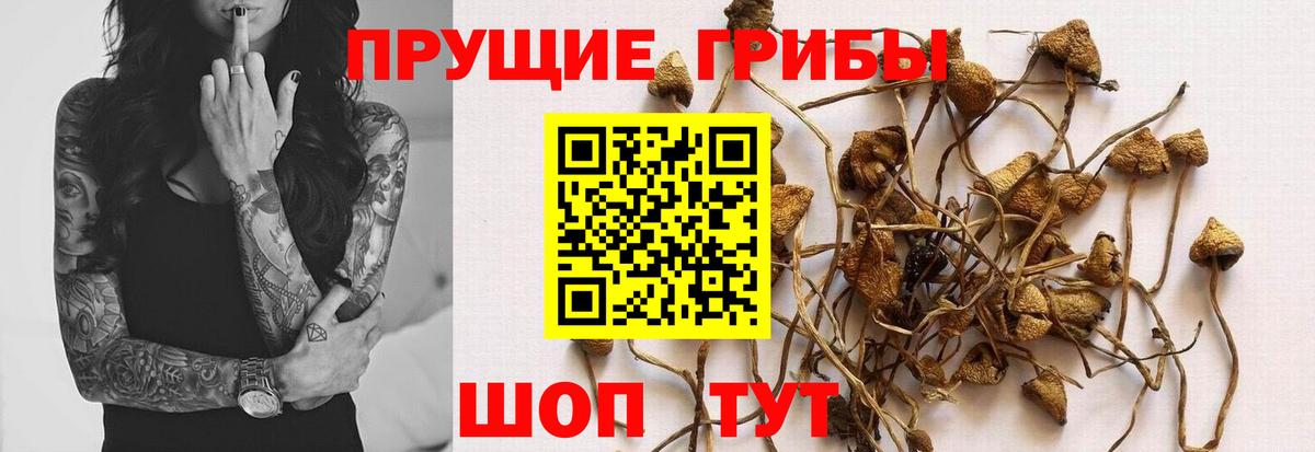 Галлюциногенные грибы MAGIC MUSHROOMS Ярославль