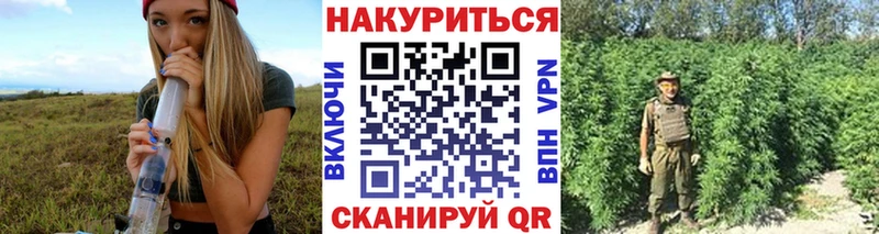 Марихуана SATIVA & INDICA Ярославль